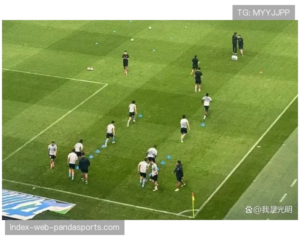 泰山主场不敌英博，马莱莱双响暴露泰山防空与盯人防守漏洞